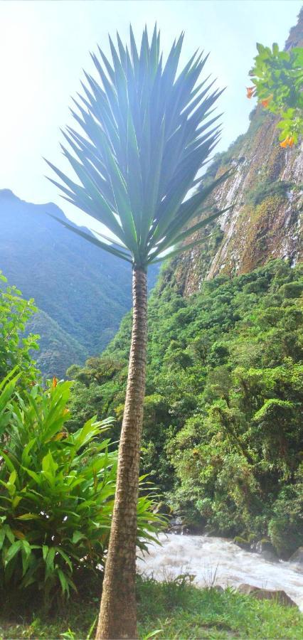 Machupicchu Guest House Exterior foto